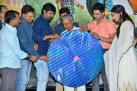 Tharuvatha Evaru Movie Audio Launch
